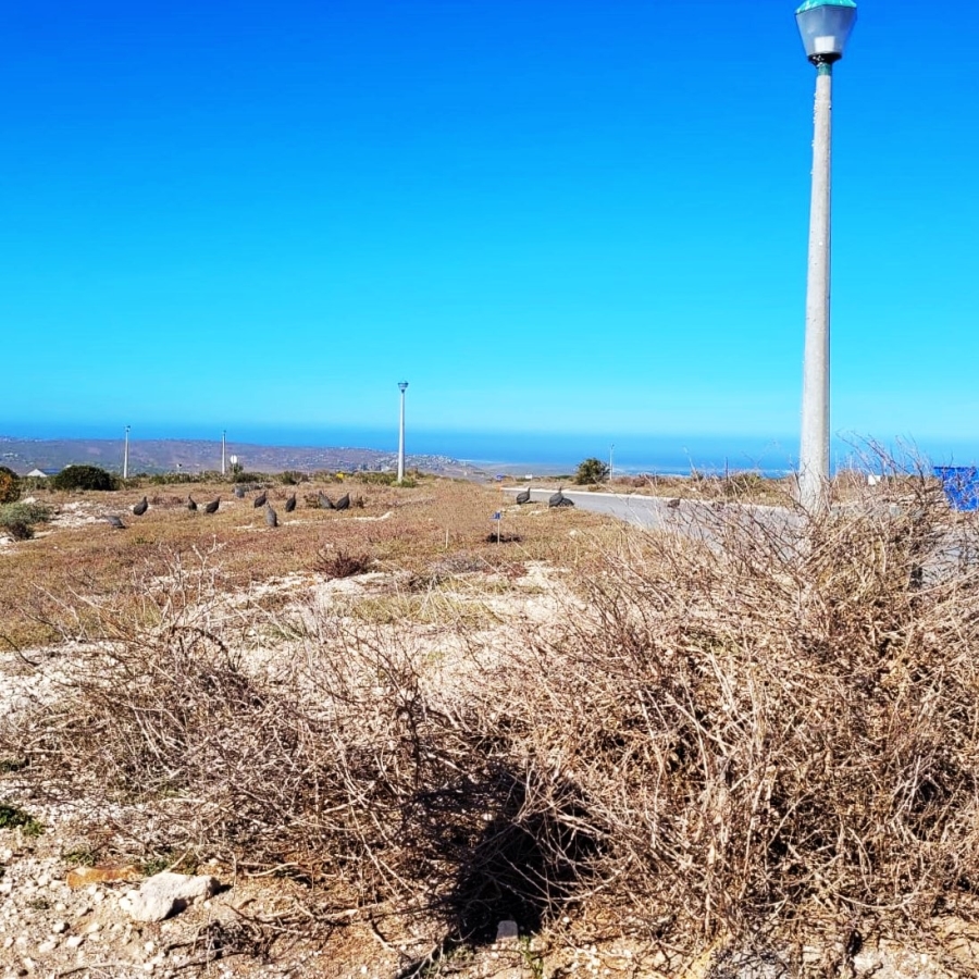 0 Bedroom Property for Sale in Hoogland Western Cape
